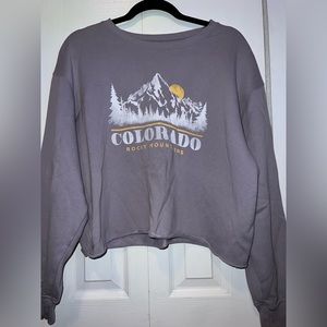 Hollister CO Cropped Crewneck